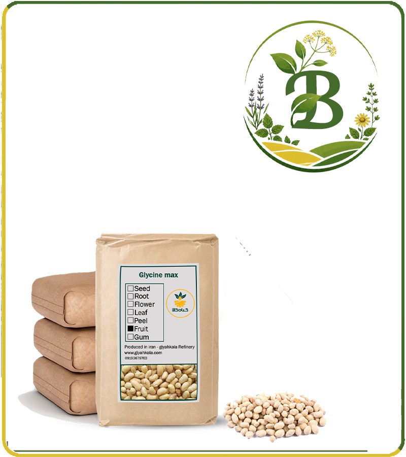 سویا آجیلی سرکه ای فله
